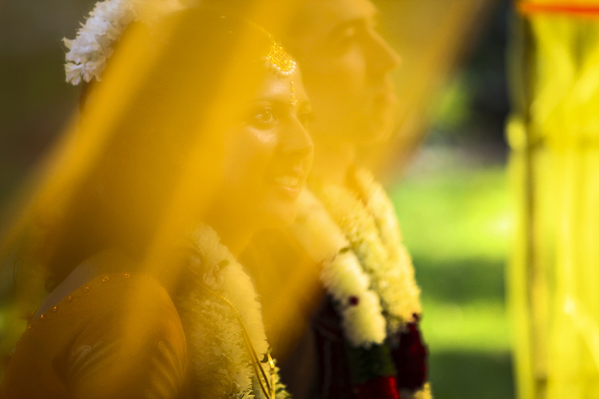 indian wedding report